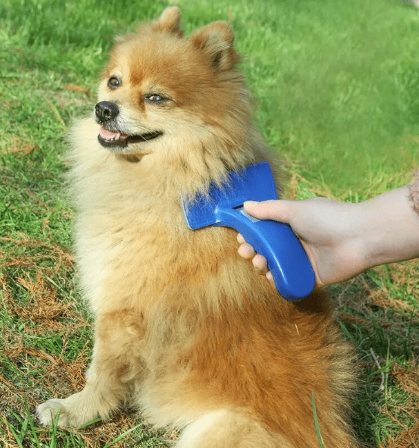 Четка за домашни миленици - Image 3