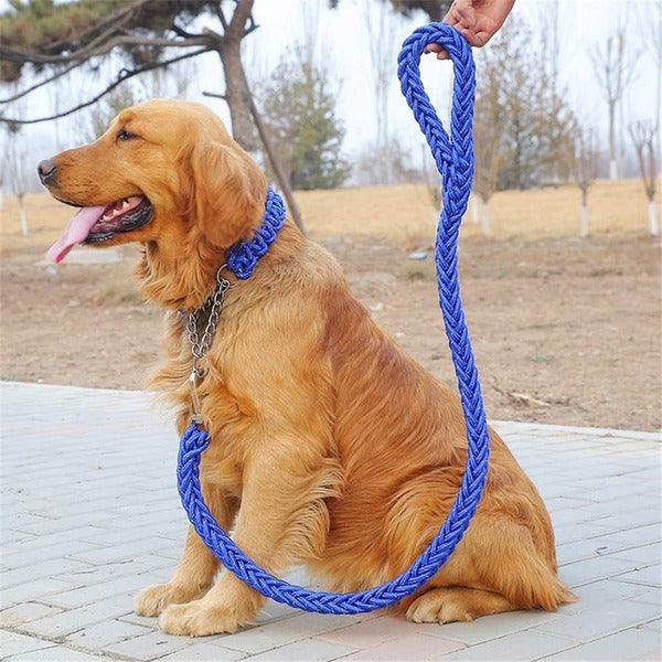 Јаже, каиш, поводец за куче