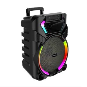 Безжичен караоке звучник 15 ” CS-5101