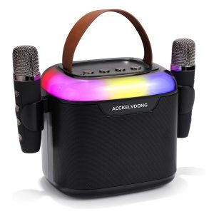 Караоке звучник со два микрофони